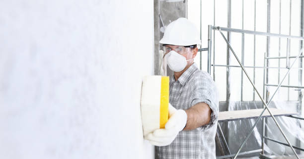 Best Residential Mold Inspection & Testing in Brookfield, MO